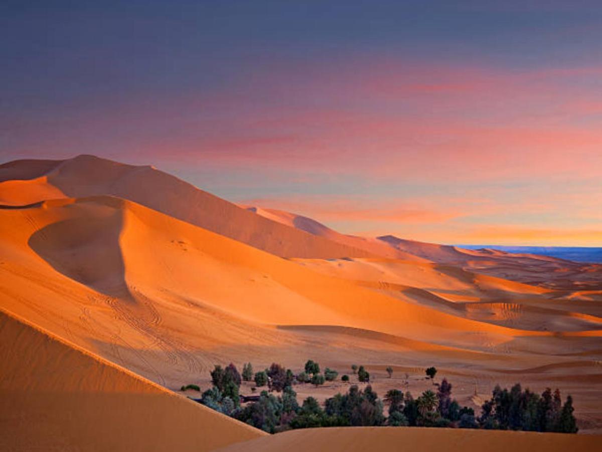 Desert Paradise Luxury Camp Merzouga Exterior photo